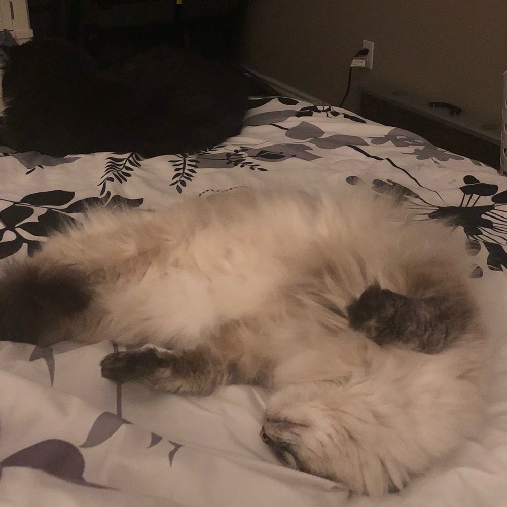 Meet your Posher, Emily